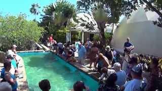 St.Thomas Coral World feeding stingray presentation