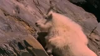 Лучший скалолаз