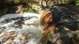 Falling Creek Falls after a rain near Lake City FL