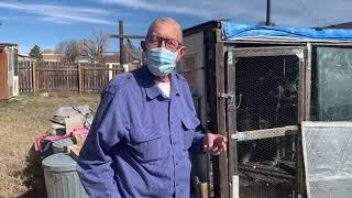 Racing Pigeons - Interview & Loft Visit of Veteran In The Sport.