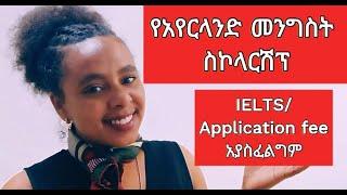 How to Apply for Ireland Government Postgraduate Scholarship 2025/Ethiopian Applicant/