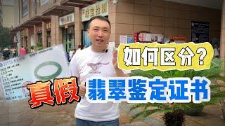 翡翠鉴定证书也有假？我们要如何区分呢？#翡翠鉴定 #翡翠证书 #玉石