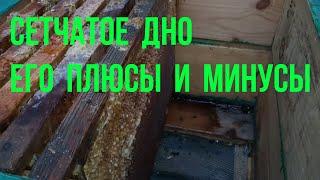 Сетчатое дно улья.  Применение дно сетка на нашей пасеке при... зимовка пчел . пасека