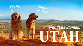 Travel and hike UTAH with us! Zion National Park, Bryce Canyon, Moab Under Canvas w/ Chris and Nala