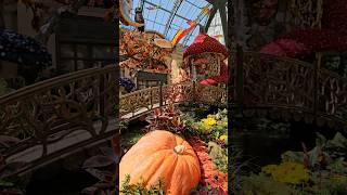 Bellagio Conservatory & Botanical Gardens has an enchanting fall setup right now!