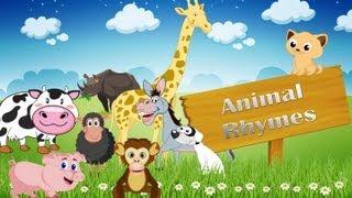 Animal Rhymes Medley | Collection of 15 Rhymes | Vol 1