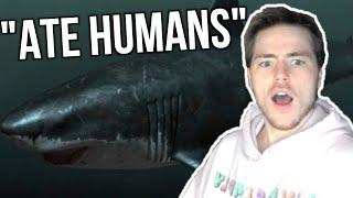 Fish Biologist reacts to "A.I Generated Megalodon Documentary"