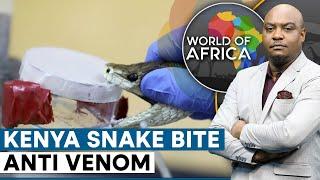 Kenya: scientists race to develop local anti venom | World Of Africa