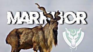 ISI MARKHOR  || PAK ARMY EDIT