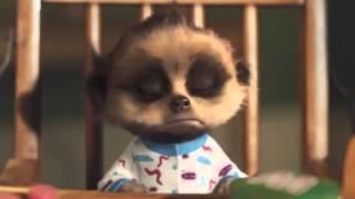 Baby Oleg's Highlights