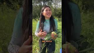 #我的乡村生活 #农村搞笑段子#生活#情感#正能量#劇情#shorts