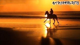세계테마기행 - 마그레브의 골목길 북아프리카- 매직 카펫 라이드 모로코_#001