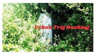 Urban Trig Bagging, Brackenhill and Hundhill Trigs