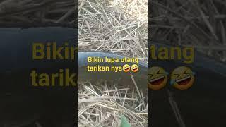 BIKIN LUPA UTANG‼️TARIKAN NYA@VIDEO SHOORTS