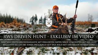 Drückjagd im Sauerland - RWS Driven Hunt im Einsatz - Geschoss Analyse nach 12 Monaten im Einsatz