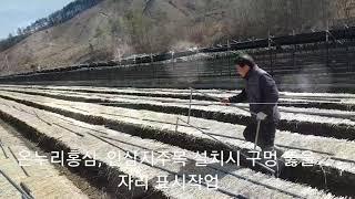 인삼 지주목 설치시 구멍 뚫을 자리 표시 작업,온누리홍삼