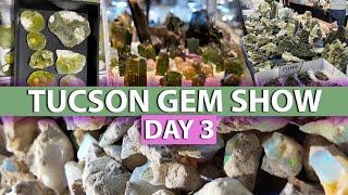 Tucson Gem Show Day 3 2024! Crystal Shop with me at the world's largest gem show! 22nd Street & Keno
