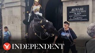 Tourist collapses after King's Guard horse bites her during photo attempt