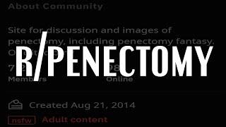 r/Penectomy: A NSFL Deep Dive | Disturbing & Controversial Subreddits