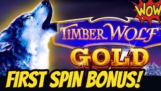 FIRST SPIN BONUS! Timber Wolf Gold & Take the Ticket