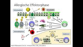 Teil 40 Dupilumab und PID