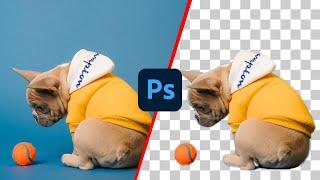 How to CUT OUT IMAGES in Photoshop 2023 [For Beginners]