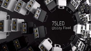 AEL 75LED Utility Floodlights