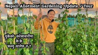 Allotment Garden Tour 2024 | Gardening Vlog | Growing Organic Veggies | Nepali Vlog | Nepali Family