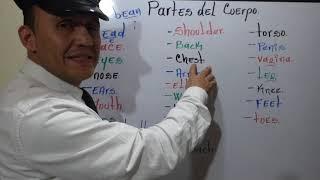 21. PARTES DEL CUERPO EN INGLES.