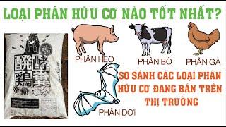 Nông dân cần biết-loại phân hữu cơ nào tốt nhất? so sánh các loại hữu cơ để mua sử dụng.