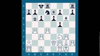 ChessMaster GME: Waitzkin J. Vs Peter