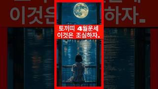 2024년 4월 토끼띠운세, 재물운은 좋지만 이것은 조심해야합니다.