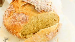 Best No Knead Bread Recipe - Munchkin Time