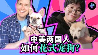 爱狗如命? 中国人和美国人都是怎么宠狗的? How Chinese and American People Spoil Their Dogs?