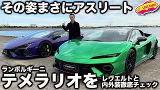 【魅力的】ランボルギーニ 新型 テメラリオ を レヴエルトと比較しつつ内外装徹底チェック！