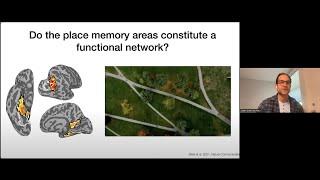 Dr Adam Steel on "Convergence of scene perception and visuospatial memory in posterior cerebral ..."