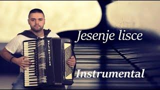 Jesenje lisce (Instrumental) - Trajce Janev