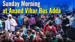 Anand Vihar: Workers on the Longest Walk of their Lives