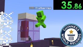 fruitberries gets a minecraft world record