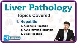 Liver Pathology: Alcoholic hepatitis, Autoimmune hapatitis and Viral hepatitis🩺