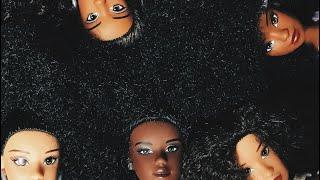 HBHMMy Completed Naturalistas doll Collection