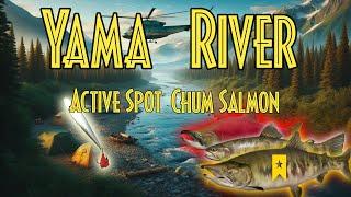 Russian Fishing 4 RF4 Yama River Active Spot CHUM SALMON TROPHY