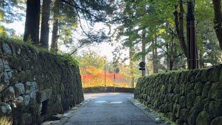 [ Driving Japan ] Head to Nikko and Oze, popular World Heritage sites and beautiful autumn foliage.