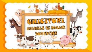 Ghicitori despre animale | Ghicește animalul! | Animale și păsări domestice pentru copii