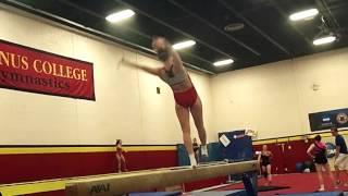 Ursinus Gymnastics Preseason 2013-2014