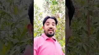 DUBAI JOB | JOB IN DUBAI |DUBAI LIFESTYLE 2022 #shorts