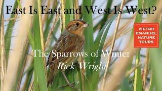 East Is East and West Is West  The Sparrows of Winter with Rick Wright