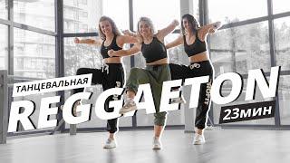 РЕГГЕТОН для НОВИЧКОВ | Танцевальная тренировка | Mote Fitness