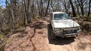 Rush Hour in Range Fire Trail