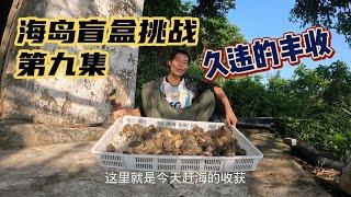 【海島盲盒挑戰賽9】久違的大退潮 深海大蠔已經迫不及待想見面了#vlog#戶外#探險#野外求生#野外生存#荒野探險#荒島求生